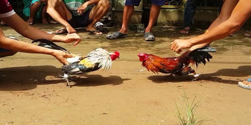 Bảo quản ở nhiệt độ và độ ẩm đúng cách