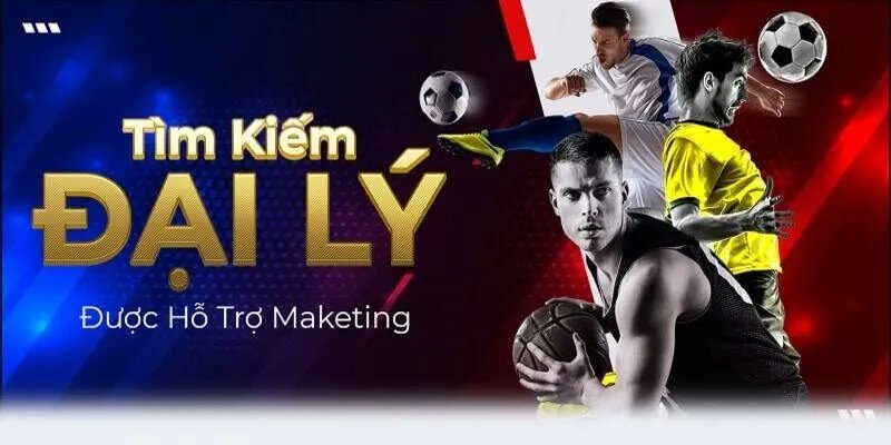 Đại lý có hệ thống phát triển chuyên nghiệp 
